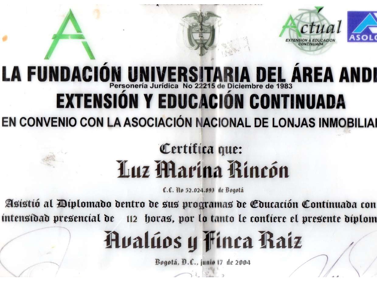 Diploma Area Andina 2020
